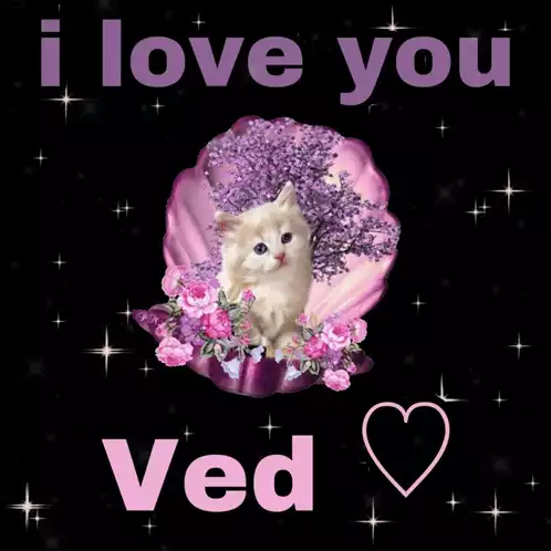 I Love You Ved Card with Cat