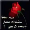 I Love You Rose Quote
