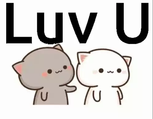 John Tierney: Luv U Cats