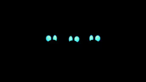 Killabears: We Like The Bears - Glow Gang