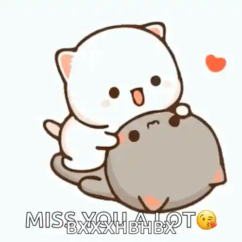Cute Cats Hugging: Miss You A Lot Animation