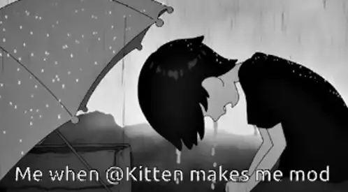 Kitten Discord Mod Meme