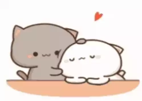 Cute Kitty Love