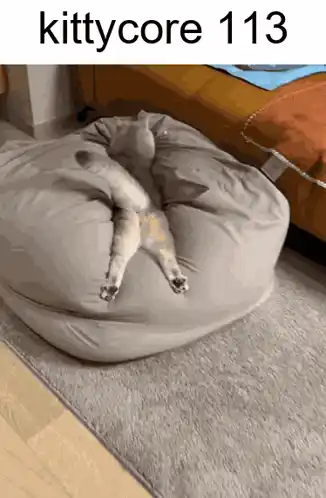 Kittycore Cat