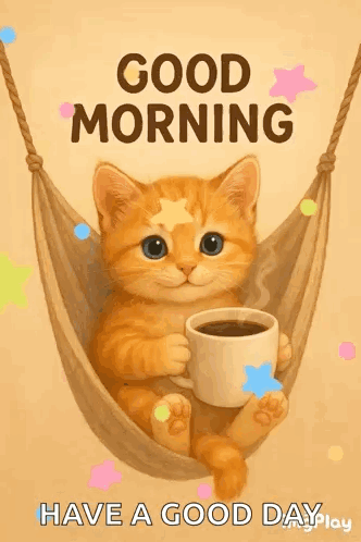 Kitten Cat