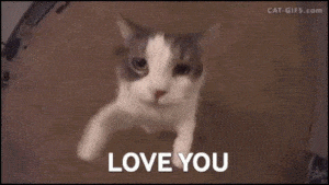 Cute Cat Says Love You