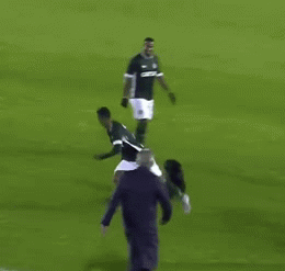 Palmeiras Football: Dog Chases Player Funny