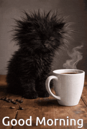 Good Morning Hello