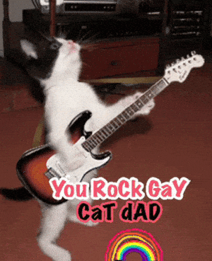Funny Cat Dad Moments