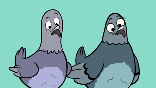 Funny Pigeon Reaction