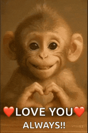 Love I Love You