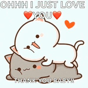 Cute Cats: Ohhh I Just Love You