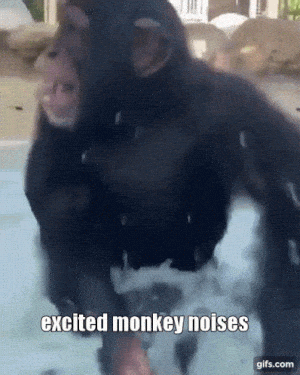 Excited Monkey Noises