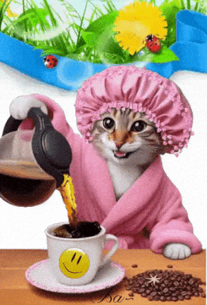 Cat Pours Morning Coffee