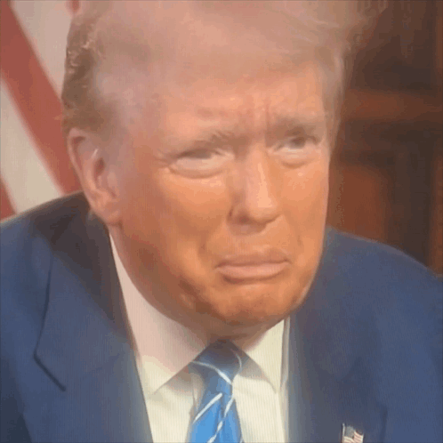 Funny Donald Trump Face