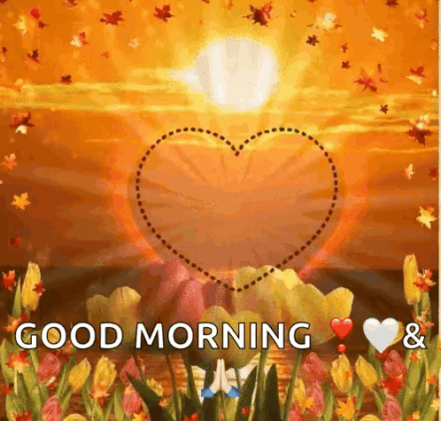 Love Heart