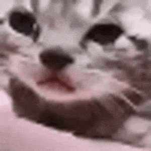 Sad Crying Kitten