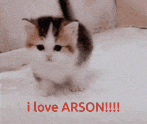 Kiwi Discord Kitten: 'I Love Arson!!!!'