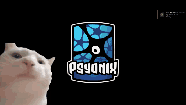 Funny Cat Vibing to Song with Rocket League