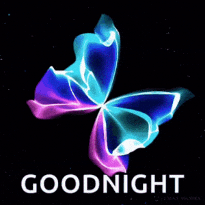 Goodnight Butterfly: Love Night