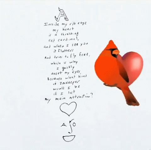 Love Poem: My Heart, A Red Cardinal