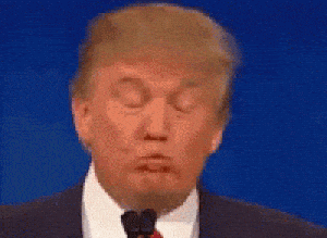 Donald Trump Makes a Funny Face