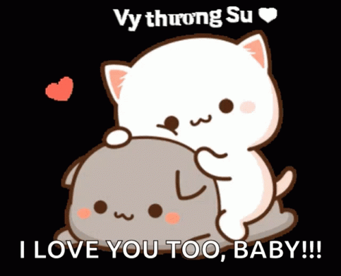 Su Su Vy Thuong Su: Cute Cat Love