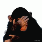 Funny Monkey Laughing