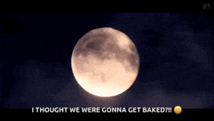 Exo Love Shot Full Moon: Thought We'd Get Baked?!
