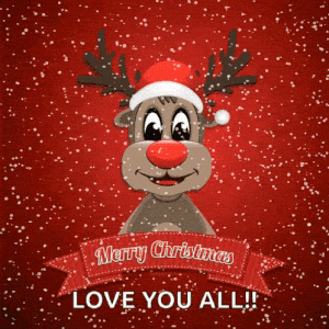 Merry Christmas Reindeer Love You All