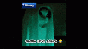 Ganda Love Gamda Love Cat Ghost