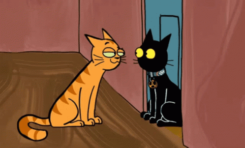 Stop Shoo Cats