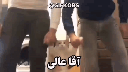 میم فارسی آقا عالی