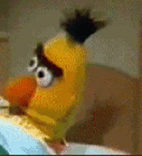 Bert's Confused Reaction - Sesame Street