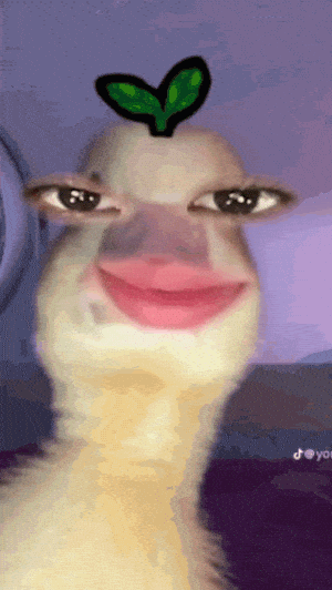 Hello