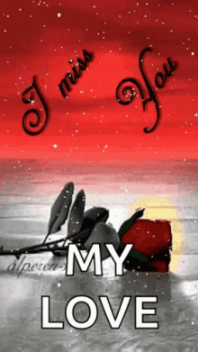 Shirley2026 - I Miss You My Love Rose