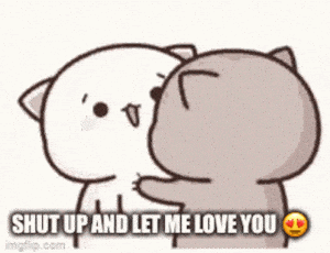 Cute Cats: Shut Up And Let Me Love You