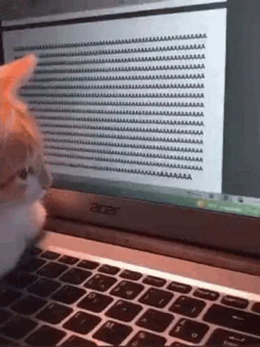 Funny Cat Types 'A's on Laptop