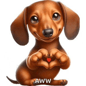 Doggy'S Love Puppy Love
