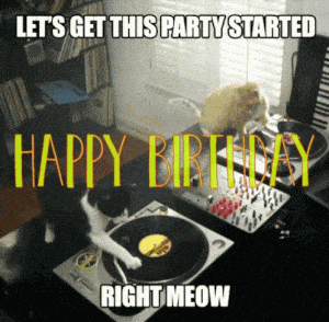 Happy Birthday Cats: Party Started Right Meow