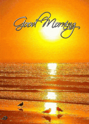 Good Morning Love You