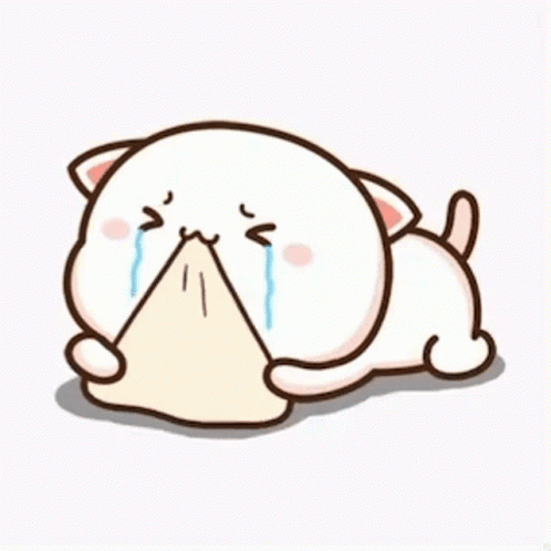Crying Cat: 'I'm Fine'