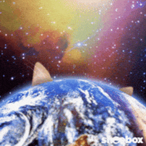 Cat Earth: Cats Will Rule The Earth