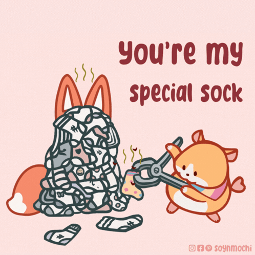 You're My Special Sock: Fox & Hamster Love