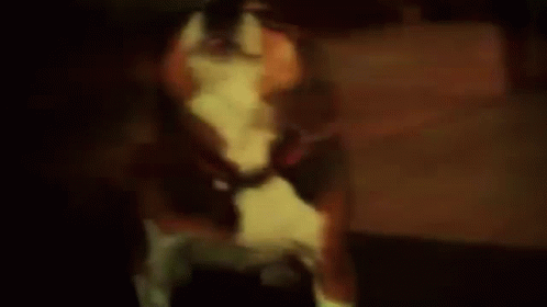 Meme Funny