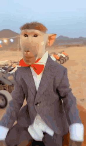 Funny Monkey in Suit Riding a Horse