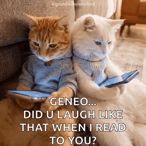 Laughing Cats