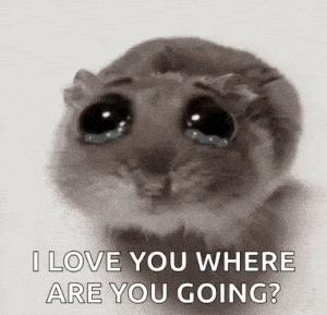 Hamsti Hamster: I Love You Where Are You Going?