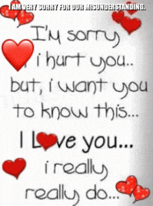 I'm Sorry, I Love You