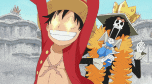 Luffy & Brook: One Piece Excitement